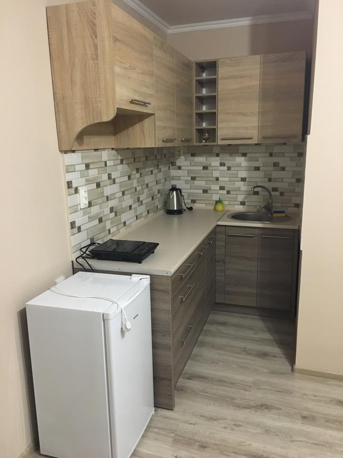 Private House Apartment Berehove  Ngoại thất bức ảnh