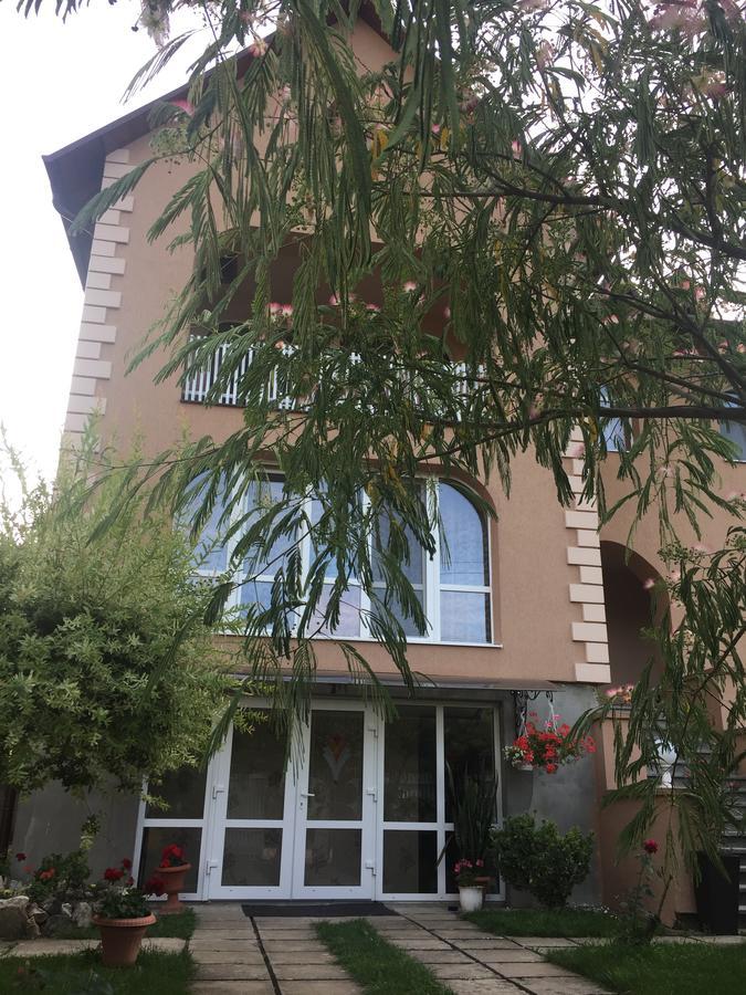 Private House Apartment Berehove  Ngoại thất bức ảnh