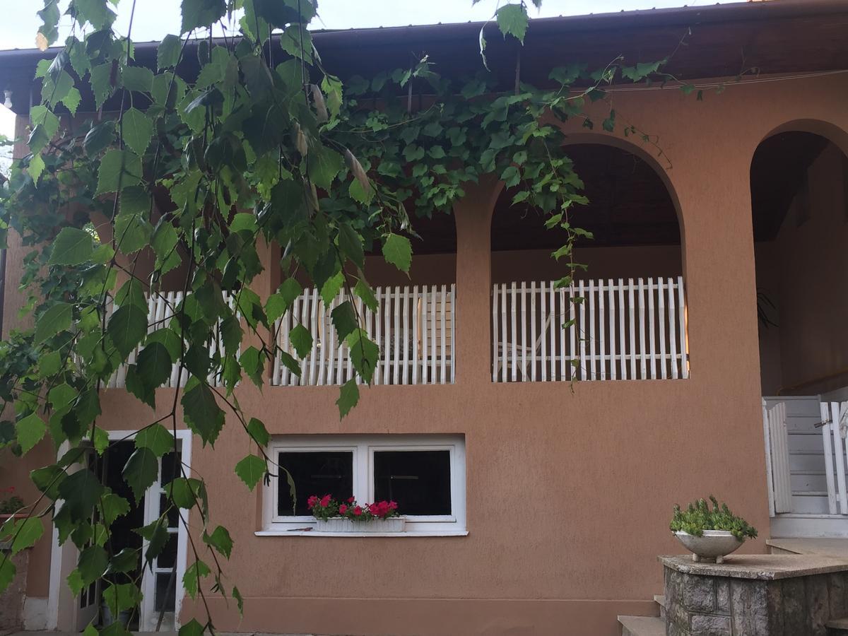 Private House Apartment Berehove  Ngoại thất bức ảnh
