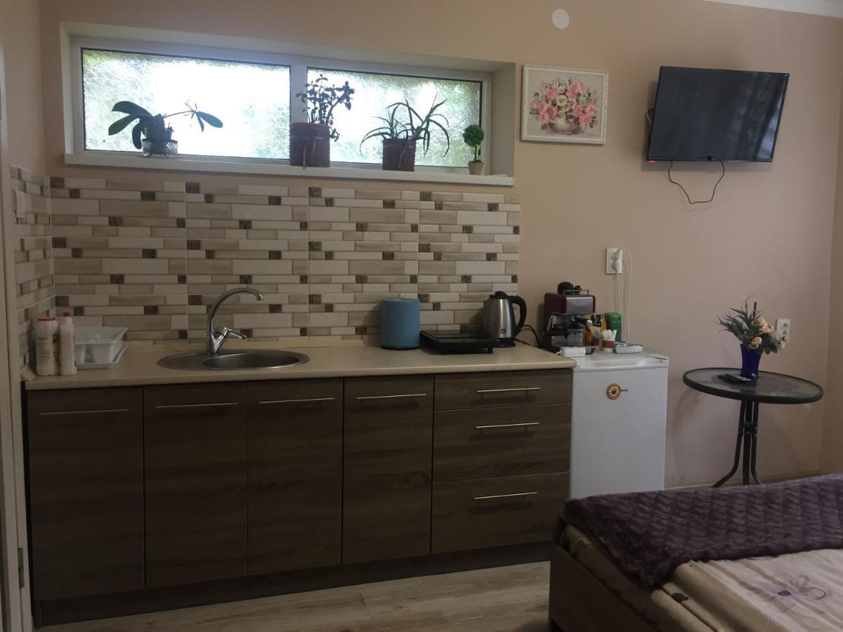 Private House Apartment Berehove  Ngoại thất bức ảnh
