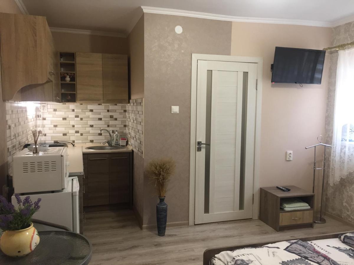 Private House Apartment Berehove  Ngoại thất bức ảnh